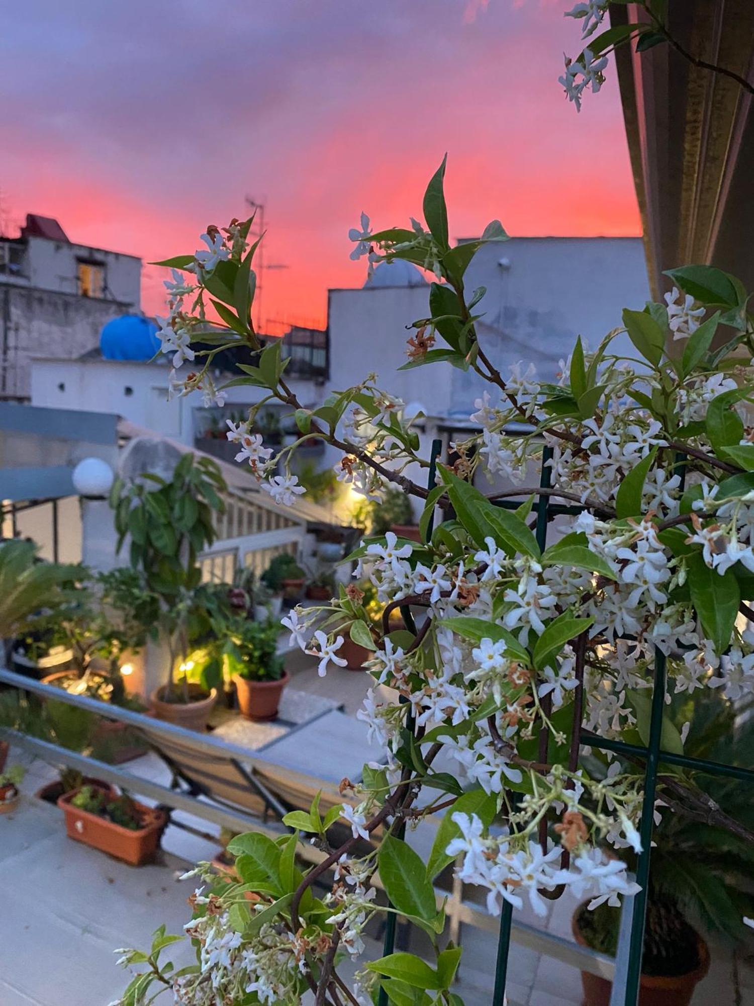 Casa Franzese Bed & Breakfast Napoli Exterior foto